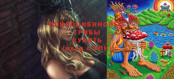 герыч Мегион