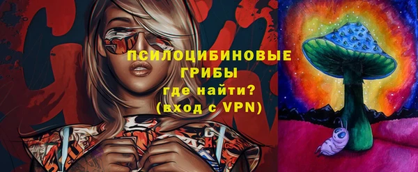 герыч Мегион
