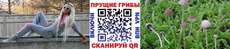 купить наркотик  Ухта  Галлюциногенные грибы мицелий 