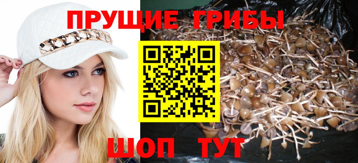 Псилоцибиновые грибы Cubensis  Псилоцибиновые грибы мухоморы  Ухта  Вход с VPN 